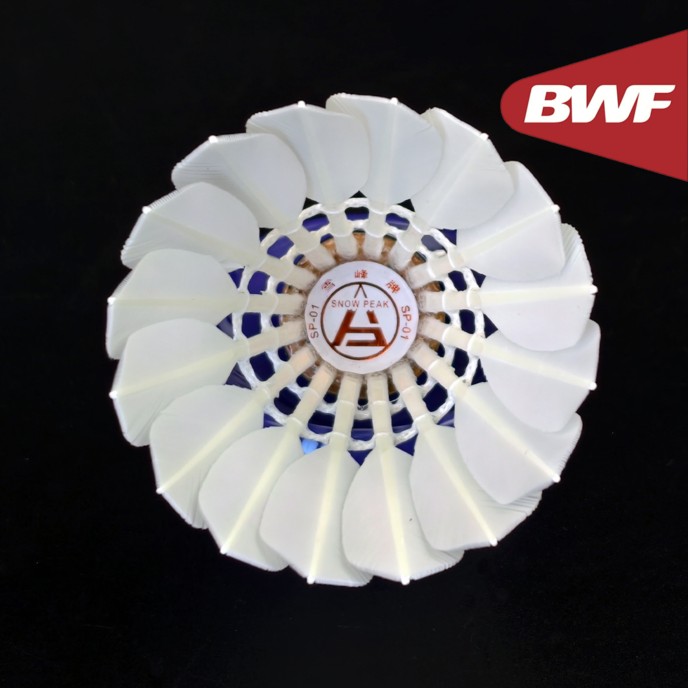 ريشة بدمنتون احترافية SP-01 من - مراجعة Badminton Bwf وسعره